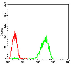 Flow cytometric analysis of A431 cells using EIF2AK2 mouse mAb (green) and negative control (red).