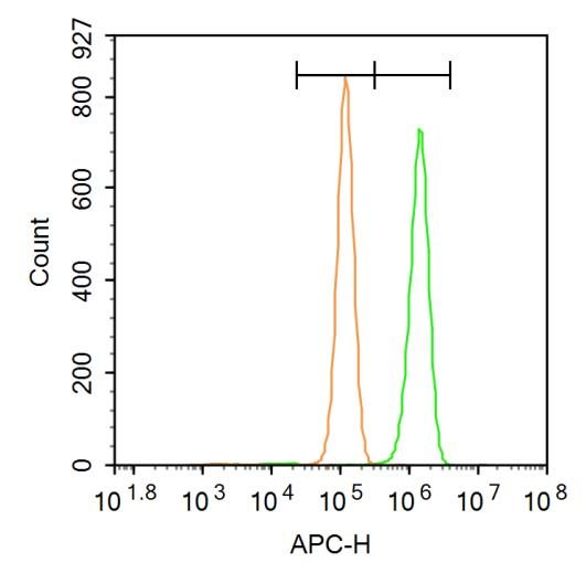 Fig4: Blank control: Hela.; Primary Antibody (green line): Rabbit Anti-FOXN1 antibody ; Dilution: 1μg /10^6 cells;; Isotype Control Antibody (orange line): Rabbit IgG .; Secondary Antibody: Goat anti-rabbit IgG-AF647; Dilution: 1μg /test.; Protocol; The cells were fixed with 4% PFA (10min at room temperature)and then permeabilized with 90% ice-cold methanol for 20 min at room temperature. The cells were then incubated in 5%BSA to block non-specific protein-protein interactions for 30 min at room temperature .Cells stained with Primary Antibody for 30 min at room temperature. The secondary antibody used for 40 min at room temperature. Acquisition of 20,000 events was performed.