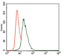 Flow cytometric analysis of HeLa cells using VAV1 mouse mAb (green) and negative control (red).