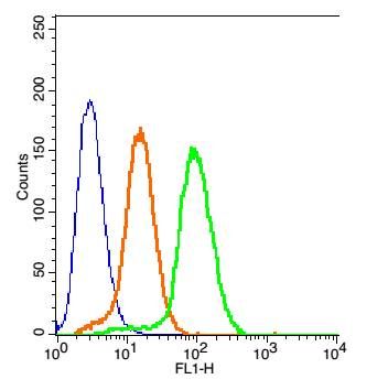 Fig5: Blank control: 293T(blue).; Primary Antibody: Rabbit Anti- MC1 Receptor/AF488 Conjugated antibody (175570#-AF488), Dilution: 1μg in 100 μL 1X PBS containing 0.5% BSA;; Isotype Control Antibody: Rabbit IgG/AF488(orange) ,used under the same conditions.; Protocol; The cells were fixed with 2% paraformaldehyde (10 min) and then permeabilized with ice-cold 90% methanol for 30 min on ice. The cells were washed twice with 1 X PBS. The cells were incubated in 1 X PBS containing 0.5% BSA + 1 0% goat serum (15 min) to block non-specific protein-protein interactions followed by the incubated with antibody (175570#-AF488, 1μg /1x10^6 cells) for 30 min on ice. Acquisition of 20,000 events was performed.