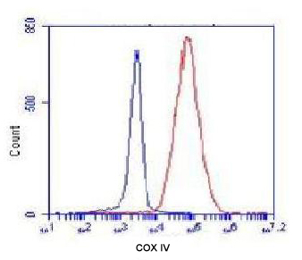 Flow Cytometry analysis of K562 cells stained with COX4 (red, 1/100 dilution), followed by FITC-conjugated goat anti-mouse IgG. Blue line histogram represents the isotype control, normal mouse IgG.