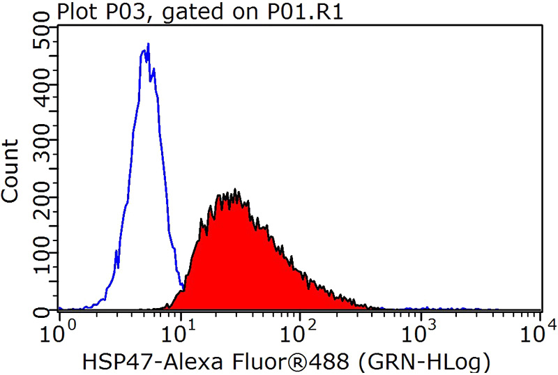 1X10^6 HepG2 cells were stained with 0.2ug SERPINH1 antibody (Catalog No:111566, red) and control antibody (blue). Fixed with 90% MeOH blocked with 3% BSA (30 min). Alexa Fluor 488-congugated AffiniPure Goat Anti-Rabbit IgG(H+L) with dilution 1:1000.