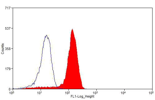 1X10^6 HEK-293 cells were stained with 0.2ug HNF4G antibody (Catalog No:111497, red) and control antibody (blue). Fixed with 4% PFA blocked with 3% BSA (30 min). Alexa Fluor 488-congugated AffiniPure Goat Anti-Rabbit IgG(H+L) with dilution 1:1500.