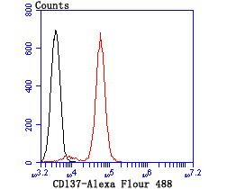 Fig10: Flow cytometric analysis of Jurkat cells with CD137 antibody at 1/100 dilution (red) compared with an unlabelled control (cells without incubation with primary antibody; black).