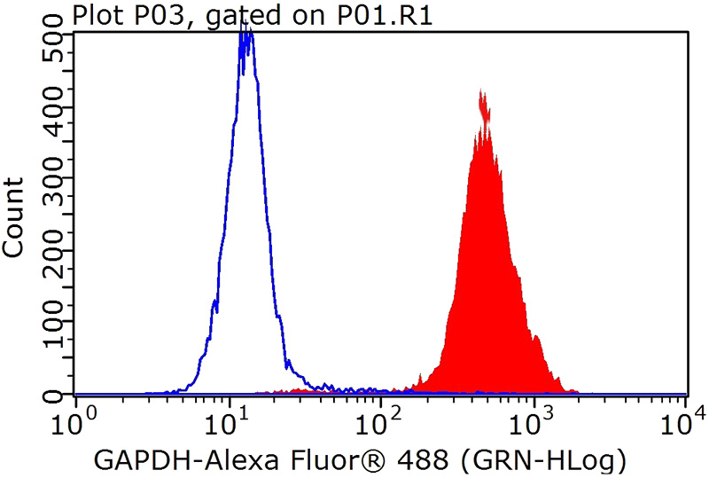 1X10^6 HeLa cells were stained with 0.2ug GAPDH antibody (Catalog No:117316, red) and control antibody (blue). Fixed with 90% MeOH blocked with 3% BSA (30 min). FITC-Goat anti-Mouse IgG with dilution 1:100.