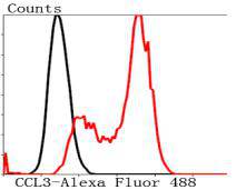 Fig7: Flow cytometric analysis of Hela cells with CCL3 antibody at 1/100 dilution (red) compared with an unlabelled control (cells without incubation with primary antibody; black). Alexa Fluor 488-conjugated Goat anti rabbit IgG was used as the secondary