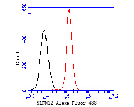 Fig6:; Flow cytometric analysis of SLFN12 was done on 293 cells. The cells were fixed, permeabilized and stained with the primary antibody ( 1/50) (red). After incubation of the primary antibody at room temperature for an hour, the cells were stained with a Alexa Fluor 488-conjugated Goat anti-Rabbit IgG Secondary antibody at 1/1000 dilution for 30 minutes.Unlabelled sample was used as a control (cells without incubation with primary antibody; black).