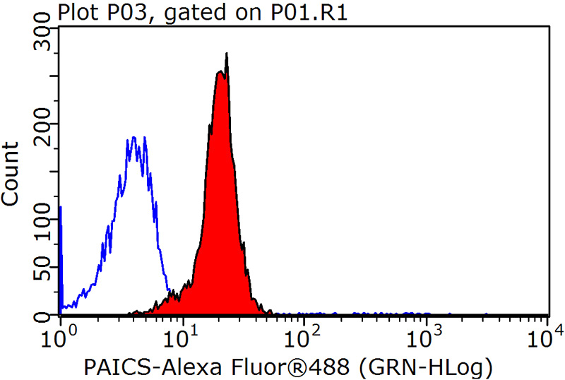 1X10^6 HeLa cells were stained with 0.2ug PAICS antibody (Catalog No:113493, red) and control antibody (blue). Fixed with 90% MeOH blocked with 3% BSA (30 min). Alexa Fluor 488-congugated AffiniPure Goat Anti-Rabbit IgG(H+L) with dilution 1:1500.