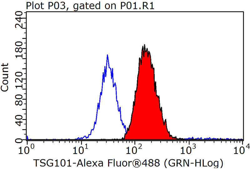 1X10^6 HeLa cells were stained with 0.2ug TSG101 antibody (Catalog No:116428, red) and control antibody (blue). Fixed with 90% MeOH blocked with 3% BSA (30 min). Alexa Fluor 488-congugated AffiniPure Goat Anti-Rabbit IgG(H+L) with dilution 1:1000.