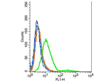 Fig3: Positive control: H9C2; Isotype Control Antibody: Rabbit IgG ; Secondary Antibody: Goat anti-rabbit IgG-FITC, Dilution: 1:100 in 1 X PBS containing 0.5% BSA ; Primary Antibody Dilution: 6μg in 100 μL1X PBS containing 0.5% BSA.