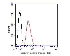 Fig2:; Flow cytometric analysis of CLEC4F was done on SH-SY5Y cells. The cells were fixed, permeabilized and stained with the primary antibody ( 1/50) (red). After incubation of the primary antibody at room temperature for an hour, the cells were stained with a Alexa Fluor 488-conjugated Goat anti-Mouse IgG Secondary antibody at 1/1000 dilution for 30 minutes.Unlabelled sample was used as a control (cells without incubation with primary antibody; black).