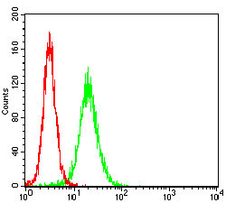 Flow cytometric analysis of Hela cells using CTNNBL1 mouse mAb (green) and negative control (red).