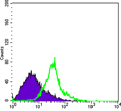 Flow cytometric analysis of Hela cells using WNT1 mouse mAb (green) and negative control (purple).