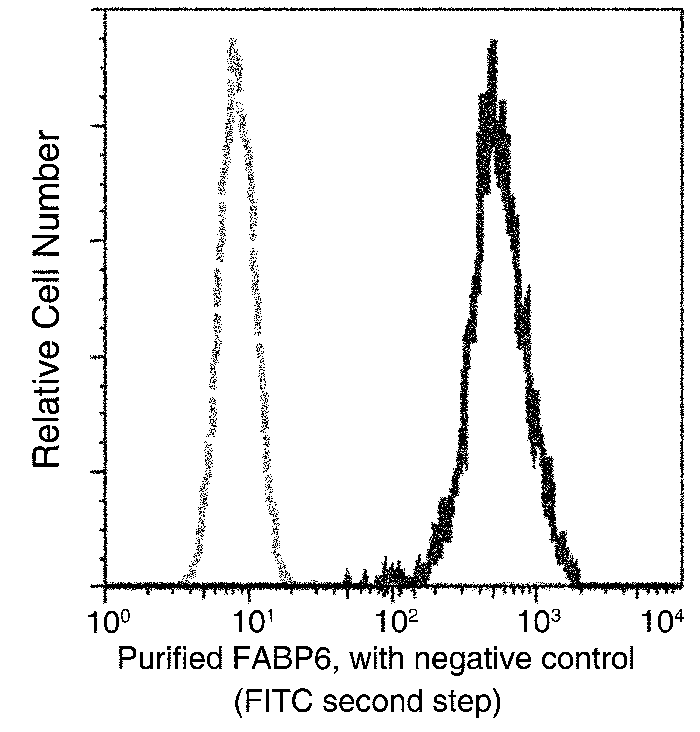 FABP6 / ILBP / I-BABP Antibody, Rabbit MAb