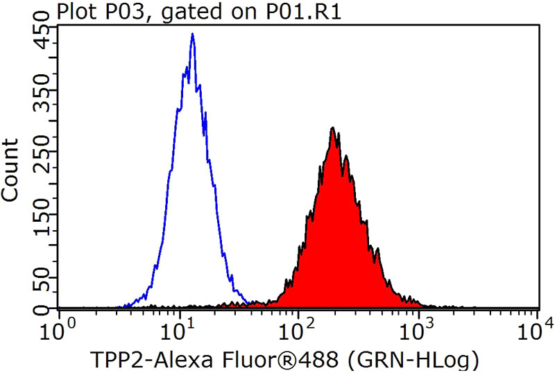 1X10^6 HeLa cells were stained with 0.2ug TPP2 antibody (Catalog No:107634, red) and control antibody (blue). Fixed with 90% MeOH blocked with 3% BSA (30 min). Alexa Fluor 488-congugated AffiniPure Goat Anti-Mouse IgG(H+L) with dilution 1:1000.