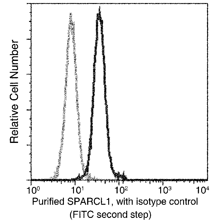 SPARCL1 / SPARC-like 1 Antibody, Mouse MAb, Flow cytometric analysis