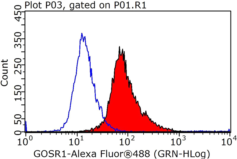 1X10^6 HeLa cells were stained with 0.2ug GS28 antibody (Catalog No:111164, red) and control antibody (blue). Fixed with 90% MeOH blocked with 3% BSA (30 min). Alexa Fluor 488-congugated AffiniPure Goat Anti-Rabbit IgG(H+L) with dilution 1:1000.