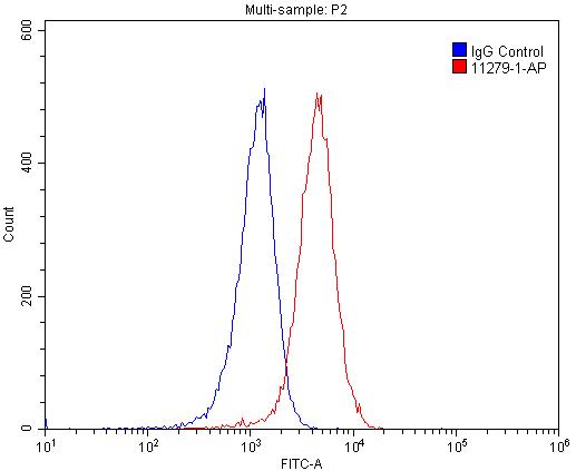 1X10^6 Raji cells were stained with 0.2ug PRMT1 antibody (Catalog No:114205, red) and control antibody (blue). Fixed with 4% PFA blocked with 3% BSA (30 min). Alexa Fluor 488-congugated AffiniPure Goat Anti-Rabbit IgG(H+L) with dilution 1:1500.