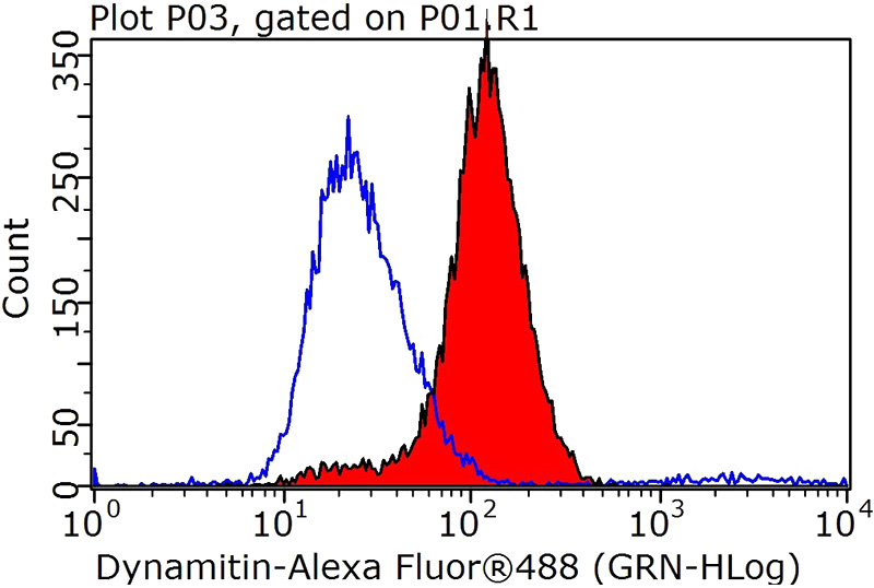 1X10^6 HeLa cells were stained with 1ug dynactin-2 antibody (Catalog No:110133, red) and control antibody (blue). Fixed with 90% MeOH blocked with 3% BSA (30 min). Alexa Fluor 488-congugated AffiniPure Goat Anti-Rabbit IgG(H+L) with dilution 1:1000.
