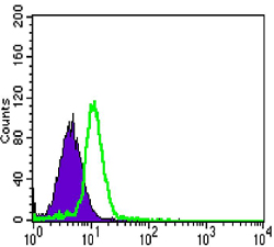 Flow cytometric analysis of HL-60 cells using CSK mouse mAb (green) and negative control (purple).