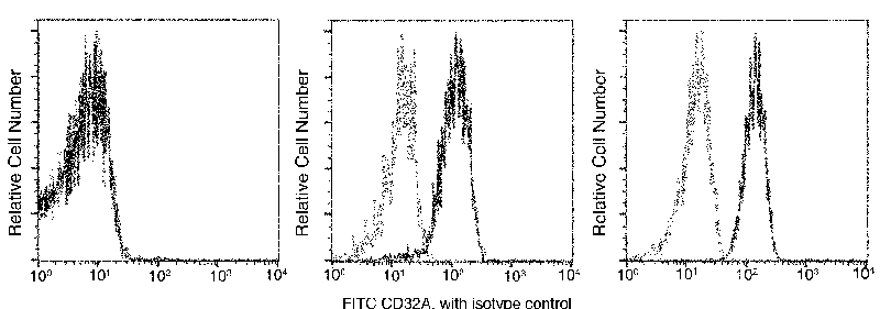 Human CD32a/FCGR2A/Fc gamma RIIA Flow Cytometry (FC) 15885