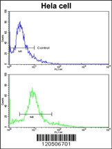 Flow cytometric analysis of hela cells using ACTR3 Antibody (C-term)(bottom histogram) compared to a negative control cell (top histogram). FITC-conjugated goat-anti-rabbit secondary antibodies were used for the analysis.