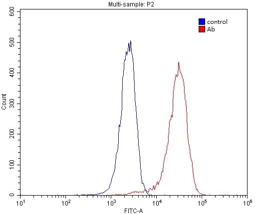 1X10^6 HepG2 cells were stained with 0.2ug ADRA1A-Specific antibody (Catalog No:107888, red) and control antibody (blue). Fixed with 4% PFA blocked with 3% BSA (30 min). Alexa Fluor 488-congugated AffiniPure Goat Anti-Rabbit IgG(H+L) with dilution 1:1500.