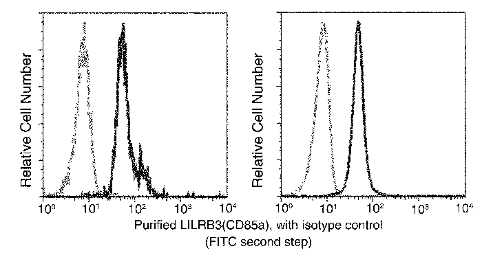 LILRB3 Antibody, Mouse MAb, Flow Cytometry