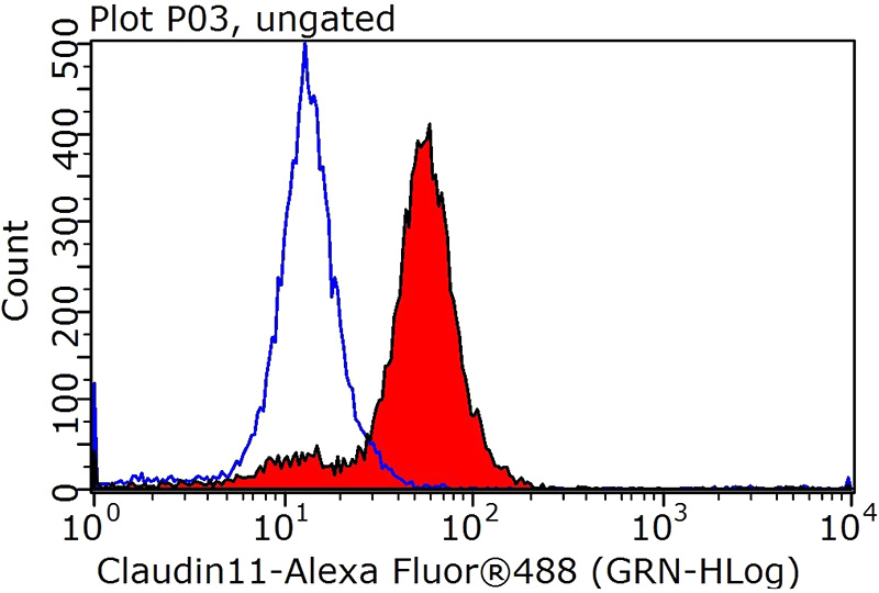 1X10^6 HepG2 cells were stained with 0.2ug CLDN11 antibody (Catalog No:109337, red) and control antibody (blue). Fixed with 90% MeOH blocked with 3% BSA (30 min). Alexa Fluor 488-congugated AffiniPure Goat Anti-Rabbit IgG(H+L) with dilution 1:1000.
