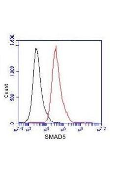 Flow Cytometry analysis of Jurkat cells stained with SMAD5 (red, 1/100 dilution), followed by FITC-conjugated goat anti-mouse IgG. Black line histogram represents the isotype control, normal mouse IgG.