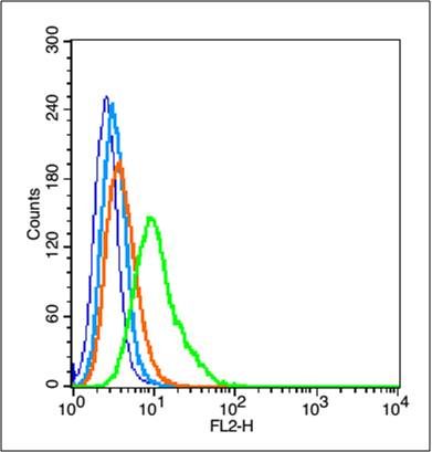 Fig3: Blank control (blue line): A549 (fixed with 2% paraformaldehyde (10 min) , then permeabilized with 90% ice-cold methanol for 30 min on ice).; Primary Antibody (green line): Rabbit Anti-HIF3 alpha antibody (bs-5898R),ilution: 1μg /10^6 cells;; Isotype Control Antibody (orange line): Rabbit IgG .; Secondary Antibody (white blue line): Goat anti-rabbit IgG-PE,Dilution: 1μg /test.