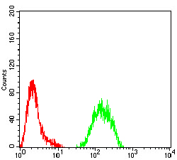 Fig5: Flow cytometric analysis of KMT2C was done on Hela cells. The cells were fixed, permeabilized and stained with the primary antibody ( 1/100) (green). After incubation of the primary antibody at room temperature for an hour, the cells were stained with a Alexa Fluor 488-conjugated goat anti-Mouse IgG Secondary antibody at 1/500 dilution for 30 minutes. Unlabelled sample was used as a control (cells without incubation with primary antibody; red).
