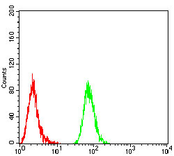 Fig5: Flow cytometric analysis of BTN2A2 was done on Hela cells. The cells were fixed, permeabilized and stained with the primary antibody ( 1/100) (green). After incubation of the primary antibody at room temperature for an hour, the cells were stained with a Alexa Fluor 488-conjugated goat anti-Mouse IgG Secondary antibody at 1/500 dilution for 30 minutes. Unlabelled sample was used as a control (cells without incubation with primary antibody; red).
