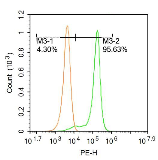 Fig3: Blank control:Molt-4.; Primary Antibody (green line): Rabbit Anti-MFSD2A antibody ; Dilution: 0.2μg /10^6 cells;; Isotype Control Antibody (orange line): Rabbit IgG .; Secondary Antibody : Goat anti-rabbit IgG-PE; Dilution: 0.2μg /test.; Protocol; The cells were fixed with 4% PFA (10min at room temperature)and then permeabilized with 20% PBST for 20 min at-20℃. The cells were then incubated in 5%BSA to block non-specific protein-protein interactions for 30 min at at room temperature .Cells stained with Primary Antibody for 30 min at room temperature. The secondary antibody used for 40 min at room temperature. Acquisition of 20,000 events was performed.