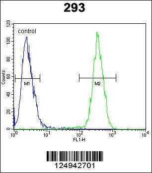 CLPX Antibody (C-term) (Cat. #169132) flow cytometric analysis of 293 cells (right histogram) compared to a negative control cell (left histogram).FITC-conjugated goat-anti-rabbit secondary antibodies were used for the analysis.