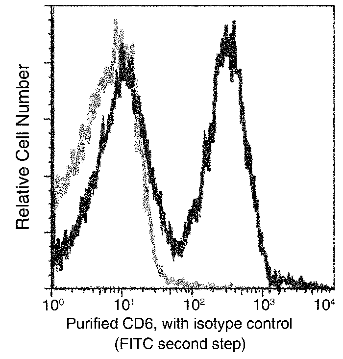 CD6 / Cluster of Differentiation 6 Antibody, Rabbit MAb, Flow Cytometry