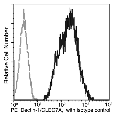 Dectin-1 / CLEC7A Antibody (PE), Rabbit MAb, Flow cytometric