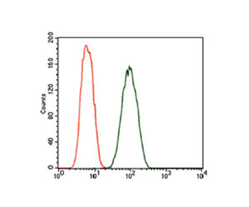 Fig7: Flow cytometric analysis of A549 cells with DCTN4 antibody at 1/100 dilution (green) compared with an unlabelled control (cells without incubation with primary antibody; red).