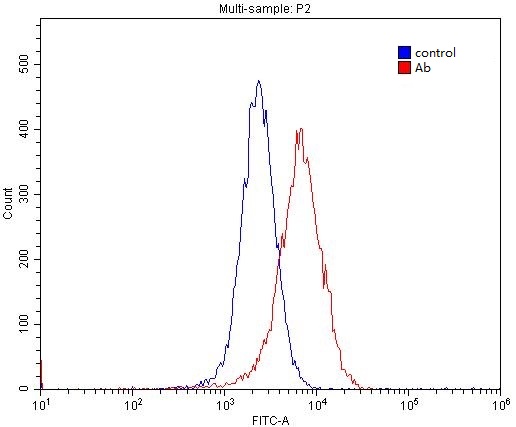 1X10^6 MCF-7 cells were stained with 0.2ug Cyclin E antibody (Catalog No:109665, red) and control antibody (blue). Fixed with 4% PFA blocked with 3% BSA (30 min). Alexa Fluor 488-congugated AffiniPure Goat Anti-Rabbit IgG(H+L) with dilution 1:1500.