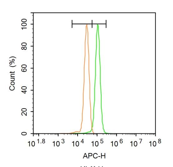 Fig2: Blank control: A431.; Primary Antibody (green line): Rabbit Anti-Phospho-c-Fos (Ser32) antibody (bs-6199R); Dilution: 1μg /10^6 cells;; Isotype Control Antibody (orange line): Rabbit IgG .; Secondary Antibody : Goat anti-rabbit IgG-AF647; Dilution: 1μg /test.; Protocol; The cells were fixed with 4% PFA (10min at room temperature)and then permeabilized with 90% ice-cold methanol for 20 min at-20℃. The cells were then incubated in 5%BSA to block non-specific protein-protein interactions for 30 min at at room temperature .Cells stained with Primary Antibody for 30 min at room temperature. The secondary antibody used for 40 min at room temperature. Acquisition of 20,000 events was performed.