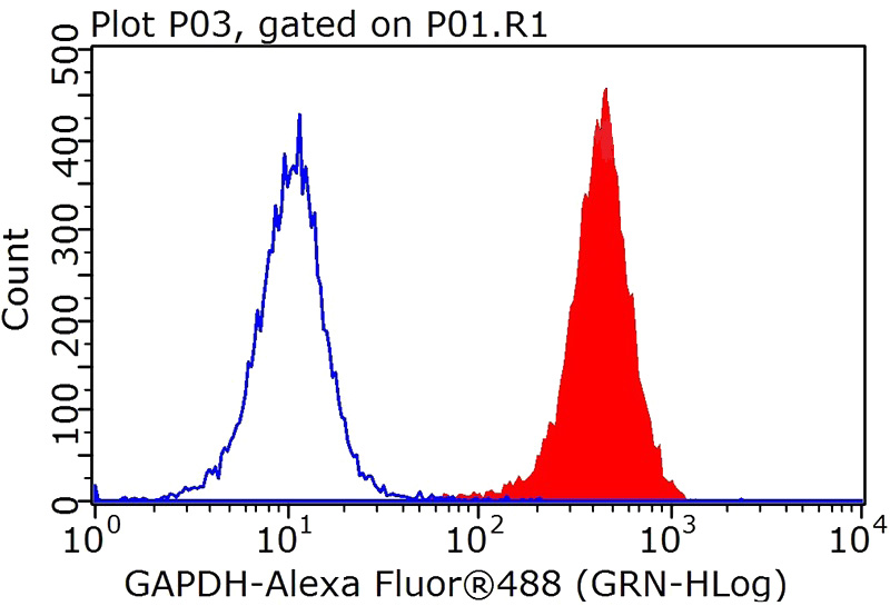 1X10^6 HEK-293 cells were stained with .2ug GAPDH antibody (Catalog No:117317, red) and control antibody (blue). Fixed with 90% MeOH blocked with 3% BSA (30 min). Alexa Fluor 488 -Goat anti-Rabbit IgG with dilution 1:100.