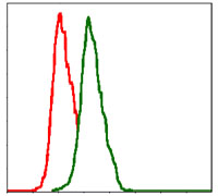 Flow cytometric analysis of Hela cells using ITGB1 mouse mAb (green) and negative control (red).
