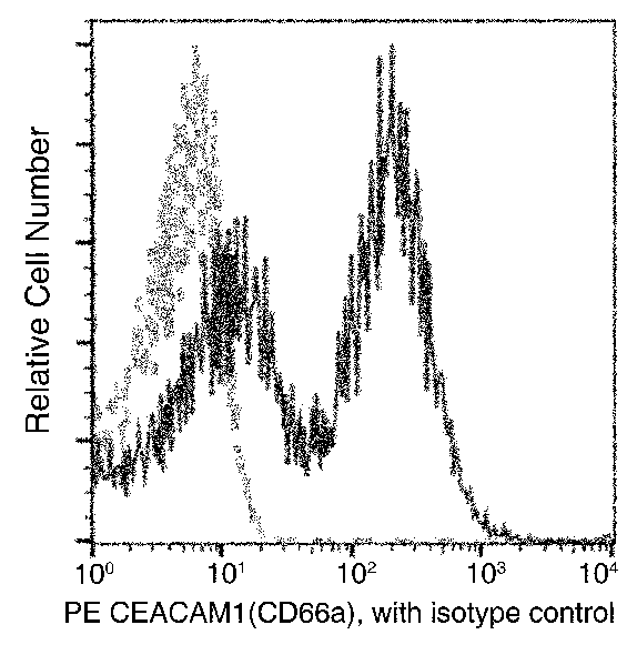 Rat CEACAM‑1/CD66a Flow Cytometry (FC) 15888