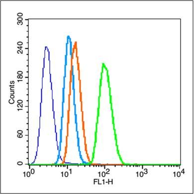 Fig2: Blank control (blue line): raji(fixed with pre-warmed 4% paraformaldehyde for 30min at 37℃); Primary Antibody (green line): Rabbit Anti-P2Y10 antibody ,Dilution: 0.2μg /10^6 cells;; Isotype Control Antibody (orange line): Rabbit IgG .; Secondary Antibody (white blue line): Goat anti-rabbit IgG-PE,Dilution: 1μg /test.