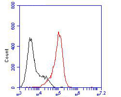 Fig7:; Flow cytometric analysis of KCNN2 was done on F9 cells. The cells were fixed, permeabilized and stained with the primary antibody ( 1/100) (red). After incubation of the primary antibody at room temperature for an hour, the cells were stained with a Alexa Fluor 488-conjugated goat anti-rabbit IgG Secondary antibody at 1/500 dilution for 30 minutes.Unlabelled sample was used as a control (cells without incubation with primary antibody; black).