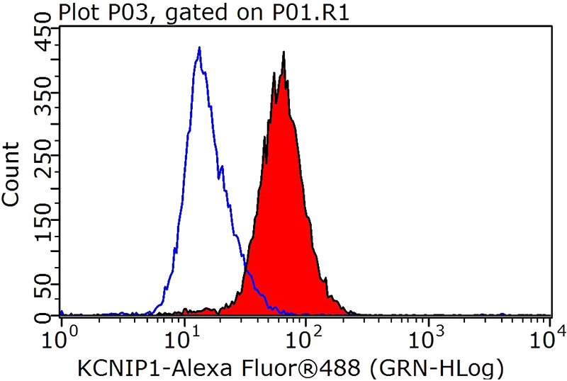 1X10^6 HepG2 cells were stained with 0.2ug KCNIP1 antibody (Catalog No:111965, red) and control antibody (blue). Fixed with 90% MeOH blocked with 3% BSA (30 min). Alexa Fluor 488-congugated AffiniPure Goat Anti-Rabbit IgG(H+L) with dilution 1:1000.