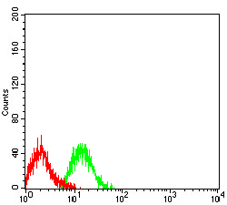 Fig5: Flow cytometric analysis of TNFRSF18 was done on Jurkat cells. The cells were fixed, permeabilized and stained with the primary antibody ( 1/100) (green). After incubation of the primary antibody at room temperature for an hour, the cells were stained with a Alexa Fluor 488-conjugated goat anti-Mouse IgG Secondary antibody at 1/500 dilution for 30 minutes. Unlabelled sample was used as a control (cells without incubation with primary antibody; red).