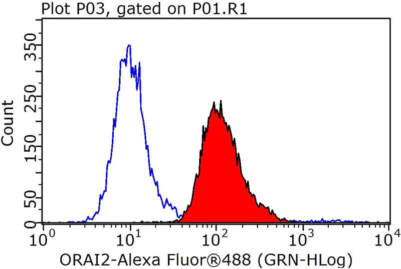 1X10^6 HEK-293 cells were stained with 0.2ug ORAI2 antibody (Catalog No:113417, red) and control antibody (blue). Fixed with 90% MeOH blocked with 3% BSA (30 min). Alexa Fluor 488-congugated AffiniPure Goat Anti-Rabbit IgG(H+L) with dilution 1:1000.