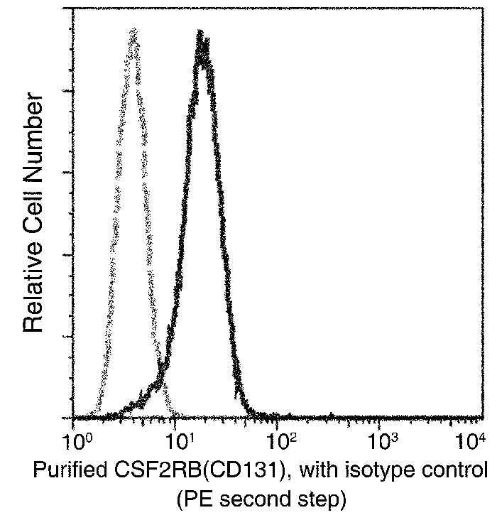 CD131 / CSF2RB / IL3RB / IL5RB Antibody, Mouse MAb, Flow Cytometry