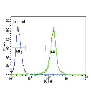 AMH Antibody (Center) (Cat. #169062) flow cytometric analysis of 293 cells (right histogram) compared to a negative control cell (left histogram).FITC-conjugated goat-anti-rabbit secondary antibodies were used for the analysis.